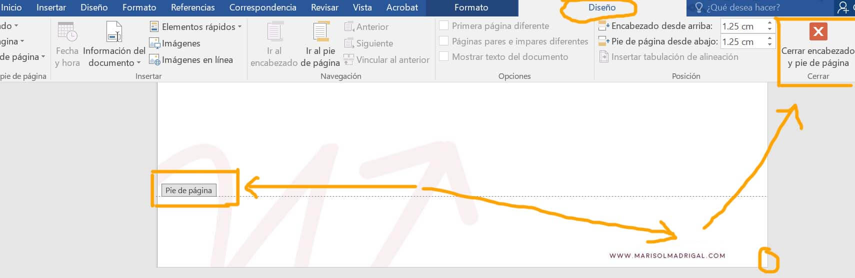pie_de_pagina_word_insertar_imagen_color_and_brand